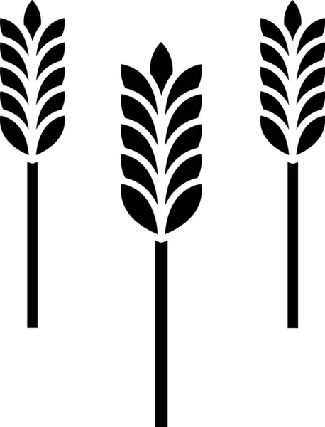 Céréales noires serties de riz, blé, maïs, avoine, seigle, orge icône isolée sur fond blanc. Oreilles de pain de blé symboles. Illustration vectorielle — Image vectorielle