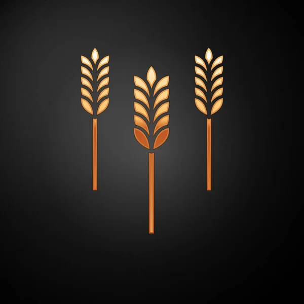 Złoto Zboża zestaw z ryżu, pszenicy, kukurydzy, owsa, żyta, ikony jęczmienia izolowane na czarnym tle. Uszy symboli chleba pszennego. Ilustracja wektora — Wektor stockowy
