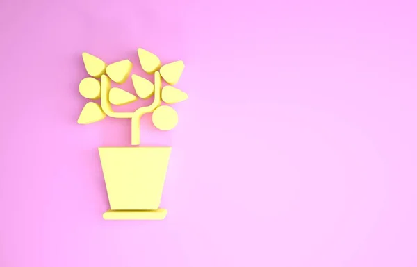 노란 화분의 아이콘은 핑크 색 배경에 분리되어 있다. 화분에 식물이 자라고 있다. 식물 표지판이야. 미니멀리즘의 개념입니다. 3d 삽화 3D 렌더링 — 스톡 사진