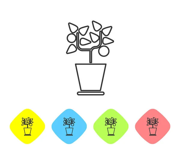 Šedá čára Rostlina v hrnci ikony izolované na bílém pozadí. Rostlina roste v květináči. Znak květináče. Nastavit ikony v barevných kosočtvercových tlačítcích. Vektorová ilustrace — Stockový vektor