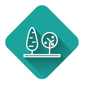 Beyaz çizgi ağaç ikonu uzun gölgeli izole edilmiş. Orman sembolü. Yeşil kare düğmesi. Vektör İllüstrasyonu