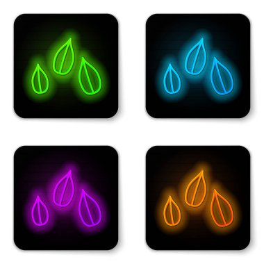 Parlayan neon hattı susam tohumları simgesi beyaz arkaplanda izole edildi. Siyah kare düğme. Vektör İllüstrasyonu