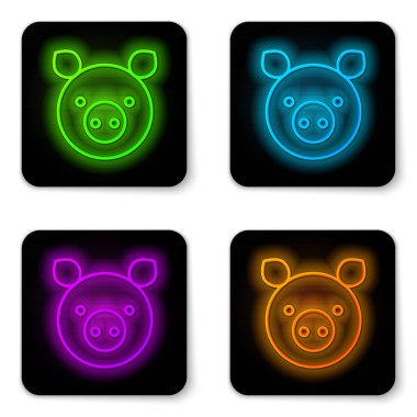 Parlayan neon hattı, beyaz arka planda izole edilmiş domuz burcu simgesi. Astrolojik yıldız falı koleksiyonu. Siyah kare düğme. Vektör İllüstrasyonu