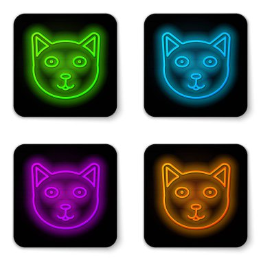 Parlayan neon hattı Evcil Hayvan simgesi beyaz arkaplanda izole edildi. Siyah kare düğme. Vektör İllüstrasyonu