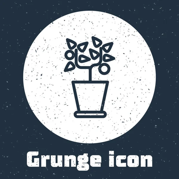 Grunge line Plant in pot icon isolated on grey background. Plant growing in a pot. Potted plant sign. Monochrome vintage drawing. Vector Illustration — 스톡 벡터