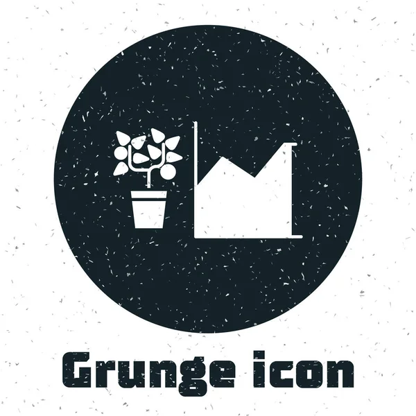 Grunge Flower icono de las estadísticas aislado sobre fondo blanco. Ilustración vectorial — Vector de stock