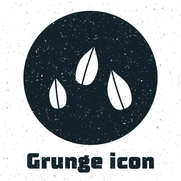 Grunge-Sesamsamen-Symbol isoliert auf weißem Hintergrund. Vektorillustration — Stockvektor