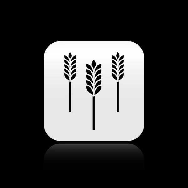 Black Cereals set with rice, wheat, corn, oats, rye, barley icon isolated on black background. Ears of wheat bread symbols. Silver square button. Vector Illustration — Stock Vector