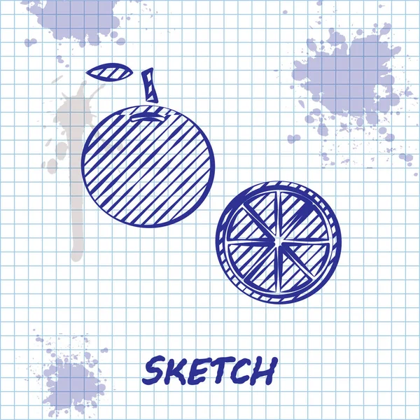 Skizze Linie orange Frucht Symbol isoliert auf weißem Hintergrund. Vektorillustration — Stockvektor