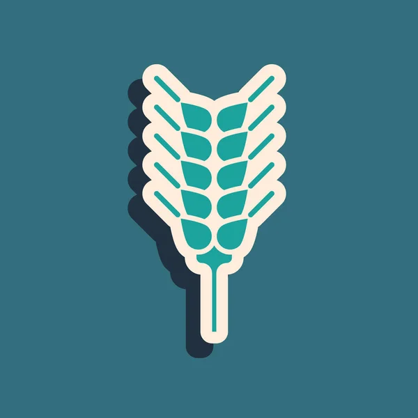 Pirinç, buğday, mısır, yulaf, çavdar ve mavi arka planda izole edilmiş arpa ikonu. Buğday ekmeği sembolleri. Uzun gölge tarzı. Vektör İllüstrasyonu — Stok Vektör