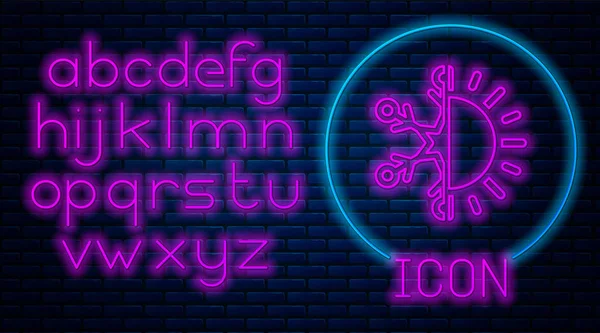 Świecący Neon gorący i zimny symbol. Słońce i ikona śnieżynka izolowane na tle muru ceglanego. Symbol zimowy i letni. Neon światła alfabetu. Ilustracja wektorowa — Wektor stockowy