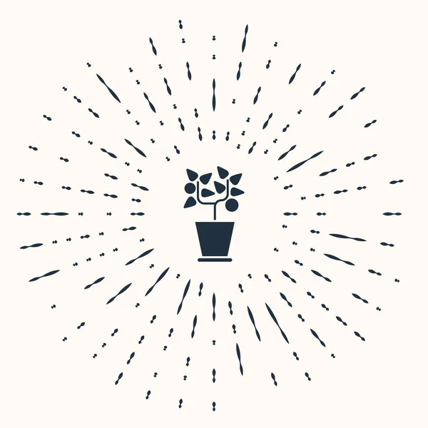 Plante grise en pot icône isolée sur fond beige. Plante poussant en pot. Panneau végétal en pot. Cercle abstrait points aléatoires. Illustration vectorielle — Image vectorielle