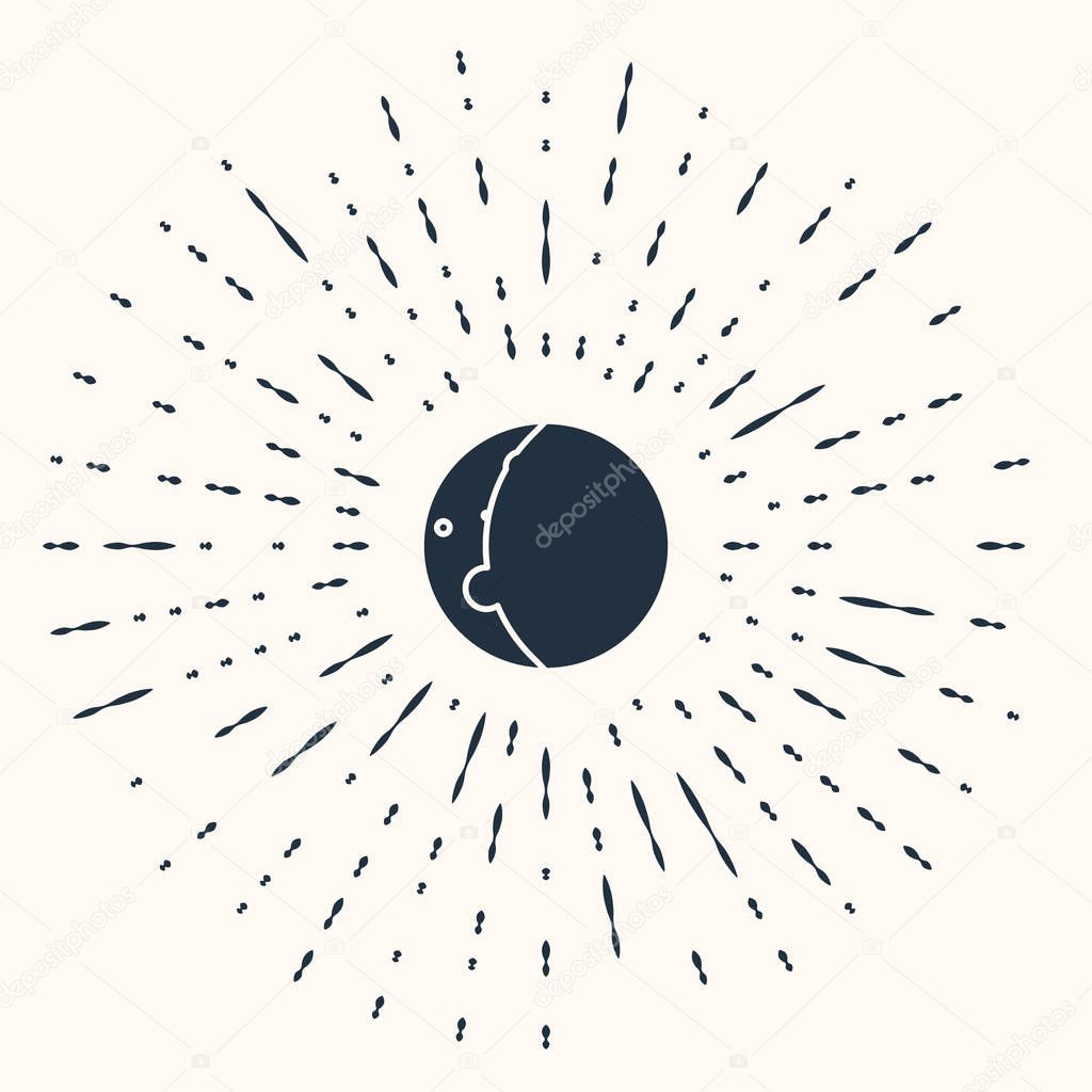 Grey Eclipse of the sun icon isolated on beige background. Total sonar eclipse. Abstract circle random dots. Vector Illustration