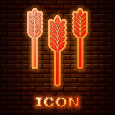 Pirinç, buğday, mısır, yulaf, çavdar, arpa simgesi tuğla duvar arka plan izole ile parlayan neon Tahıllar ayarlayın. Buğday ekmeği sembolleri kulakları. Vektör İllüstrasyonu