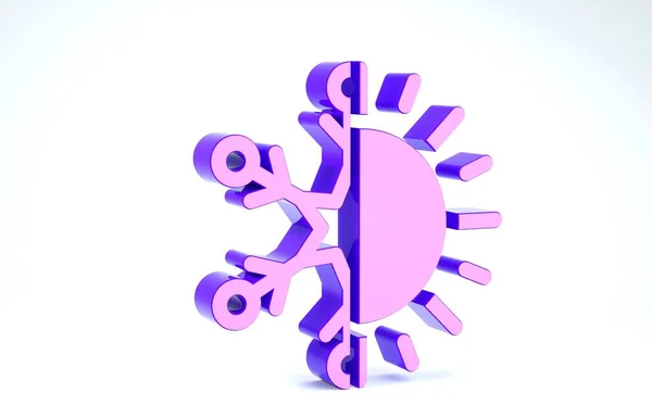 Símbolo púrpura caliente y frío. Icono de sol y copo de nieve aislado sobre fondo blanco. Símbolo de invierno y verano. 3D ilustración 3D render — Foto de Stock