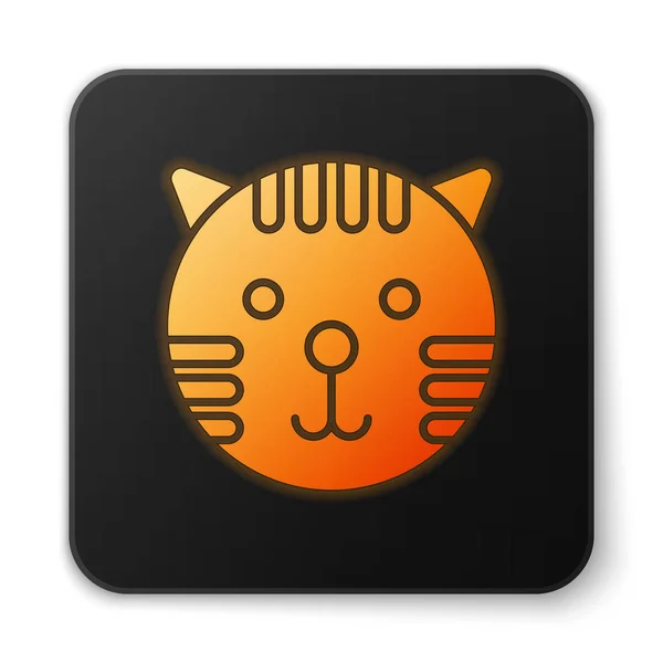 Orange glowing neon Tiger zodiac sign icon isolated on white background. Astrological horoscope collection. Black square button. Vector Illustration — 스톡 벡터