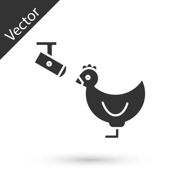 Grau Hühnerfarm und drahtlose Steuerung cctv Überwachungskamera Symbol isoliert auf weißem Hintergrund. Vektorillustration — Stockvektor