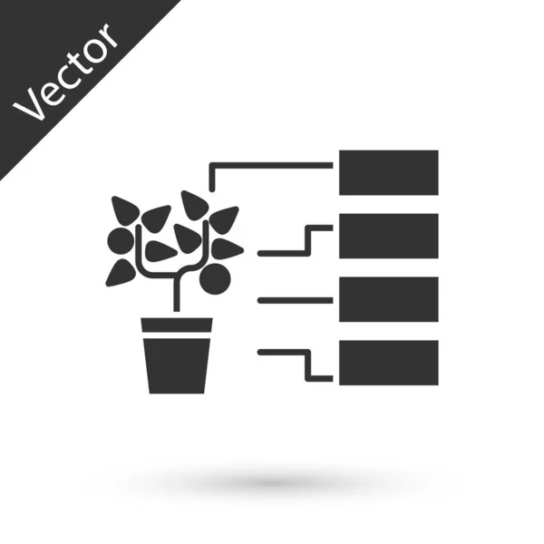 Icono de análisis de flores grises aislado sobre fondo blanco. Ilustración vectorial — Vector de stock