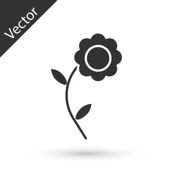 Icona Grey Flower isolata su sfondo bianco. Illustrazione vettoriale — Vettoriale Stock