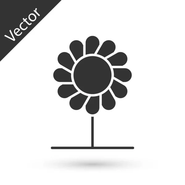 Grey Flower icon isolated on white background. Vector Illustration — Stock Vector