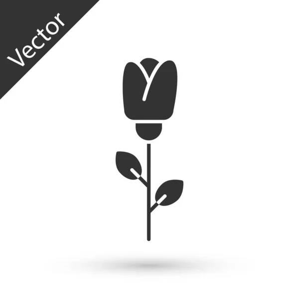 Cinza flor rosa ícone isolado no fundo branco. Ilustração vetorial — Vetor de Stock