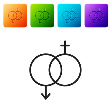 Beyaz arkaplanda siyah çizgi cinsiyet simgesi izole edildi. Erkek ve kadın sembolleri. Seks sembolü. Sevgililer Günü konsepti. Renkli kare düğmelerle simgeleri ayarla. Vektör İllüstrasyonu