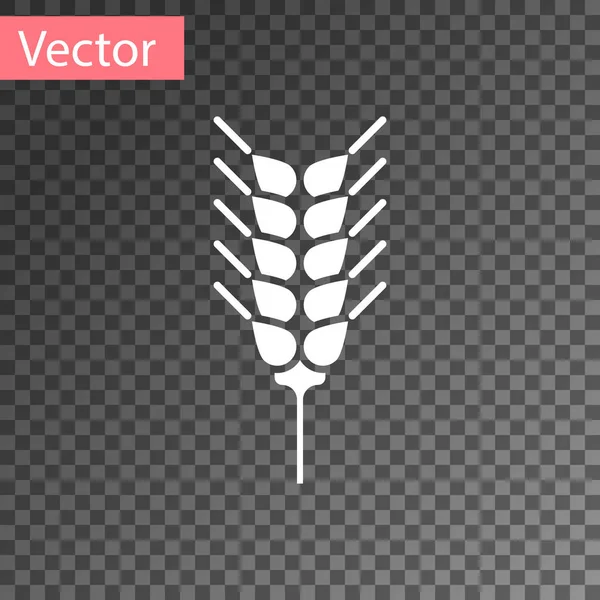 Weißes Getreide mit Reis, Weizen, Mais, Hafer, Roggen, Gerste Ikone isoliert auf transparentem Hintergrund. Ähren von Weizenbrot Symbole. Vektorillustration — Stockvektor