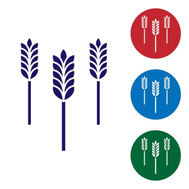 Beyaz zemin üzerinde pirinç, buğday, mısır, yulaf, çavdar ve arpa ikonu bulunan mavi tahıllar. Buğday ekmeği sembolleri. Renk simgelerini daire düğmelerine ayır. Vektör İllüstrasyonu