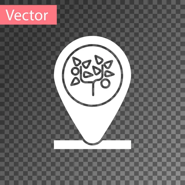 Weißer Standort und Baumsymbol isoliert auf transparentem Hintergrund. Vektorillustration — Stockvektor