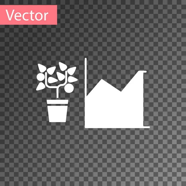 Weiße Blume Statistiken Symbol isoliert auf transparentem Hintergrund. Vektorillustration — Stockvektor