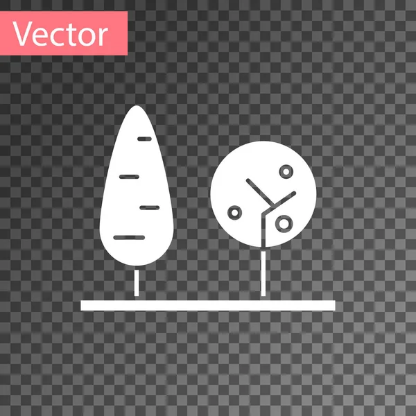 Icono de Árboles Blancos aislado sobre fondo transparente. Símbolo forestal. Ilustración vectorial — Vector de stock