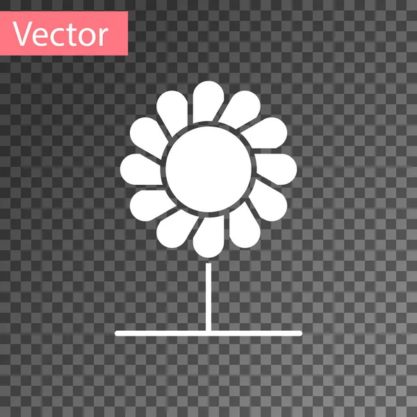 Значок белого цветка выделен на прозрачном фоне. Векторная миграция — стоковый вектор