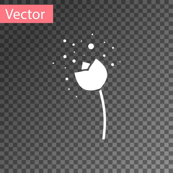 Flor branca produzindo pólen no ícone atmosfera isolada em fundo transparente. Ilustração vetorial — Vetor de Stock