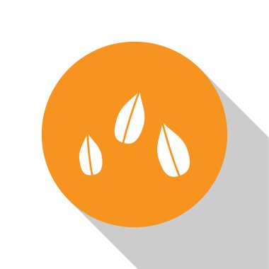 Beyaz Susam Tohumu simgesi beyaz arkaplanda izole edildi. Turuncu daire düğmesi. Vektör İllüstrasyonu