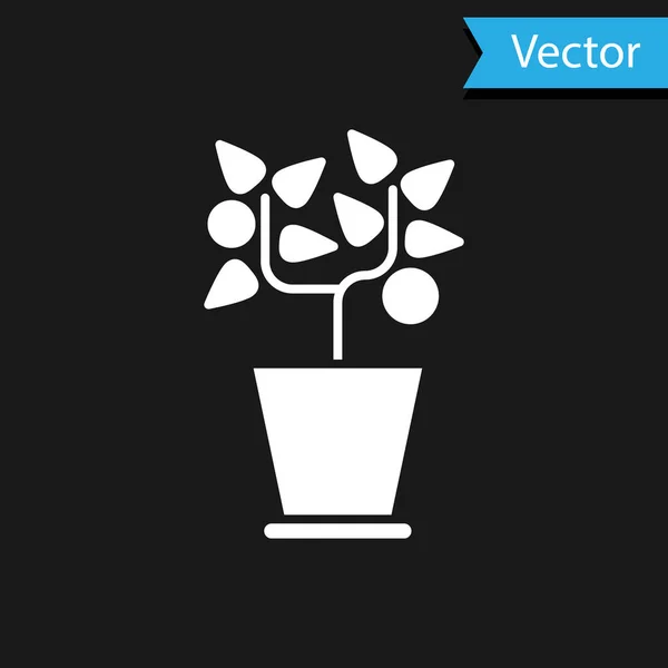 Белый Плант в горшке иконка изолирована на черном фоне. Растение растет в кастрюле. Вывеска с цветами. Векторная миграция — стоковый вектор