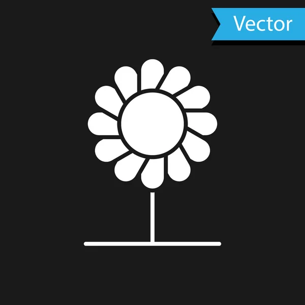 Ícone de flor branca isolado no fundo preto. Ilustração vetorial — Vetor de Stock