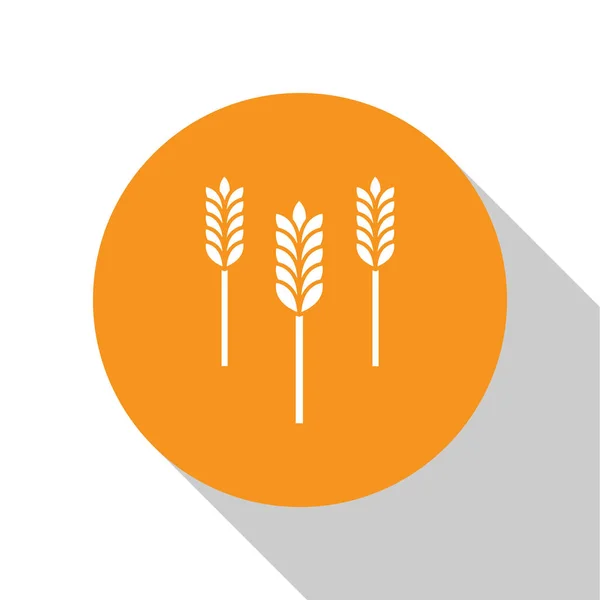 Білі злаки набір з рисом, пшеницею, кукурудзою, вівсом, житом, ячменем ізольовані на білому тлі. Вуха символів пшеничного хліба. Кнопка помаранчевого кола. Векторна ілюстрація — стоковий вектор