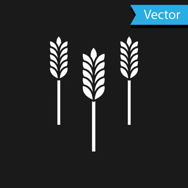 Cereais brancos conjunto com arroz, trigo, milho, aveia, centeio, cevada ícone isolado no fundo preto. Orelhas de símbolos de pão de trigo. Ilustração vetorial — Vetor de Stock