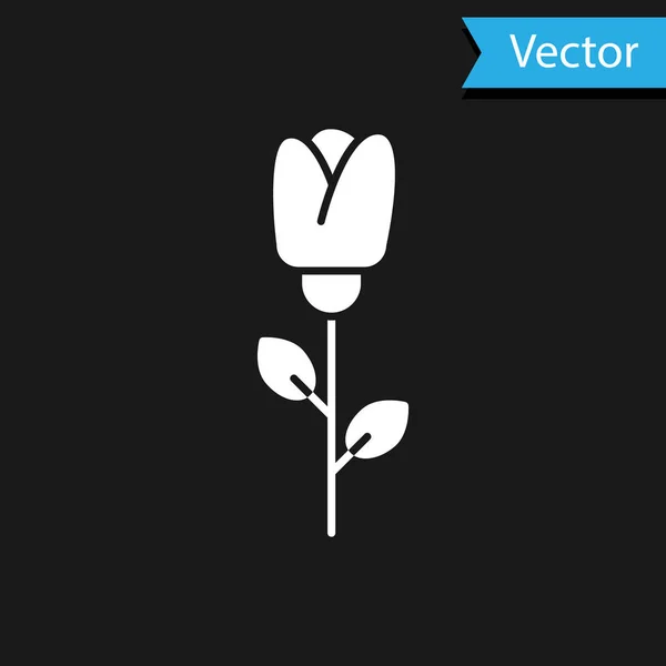 Flor blanca rosa icono aislado sobre fondo negro. Ilustración vectorial — Vector de stock