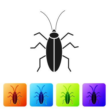 Siyah Hamamböceği simgesi beyaz arkaplanda izole edilmiş. Renkli kare düğmelerle simgeleri ayarla. Vektör İllüstrasyonu