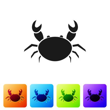 Beyaz arkaplanda siyah yengeç simgesi izole edildi. Renkli kare düğmelerle simgeleri ayarla. Vektör İllüstrasyonu