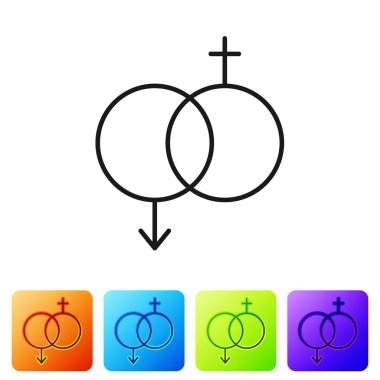 Siyah cinsiyet simgesi beyaz arkaplanda izole edilmiş. Erkek ve kadın sembolleri. Seks sembolü. Sevgililer Günü konsepti. Renkli kare düğmelerle simgeleri ayarla. Vektör İllüstrasyonu