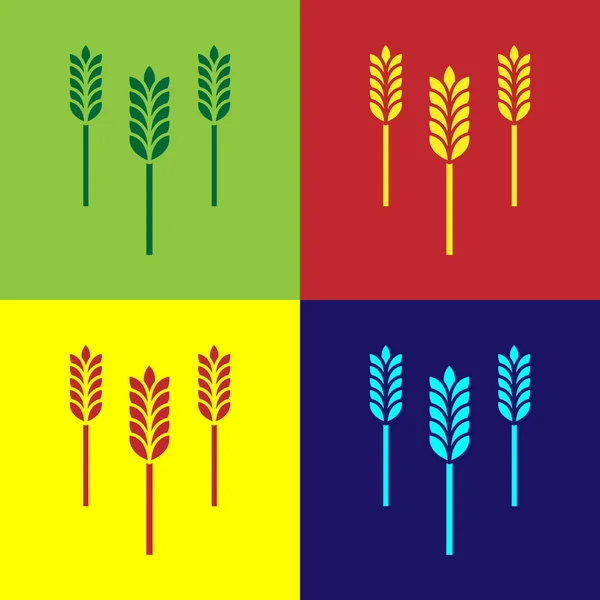 Kleur Granen gezet met rijst, tarwe, maïs, haver, rogge, gerst pictogram geïsoleerd op kleur achtergrond. Oren van tarwebrood symbolen. Vector Illustratie — Stockvector