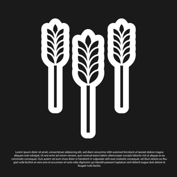Cereales negros con arroz, trigo, maíz, avena, centeno, cebada icono aislado sobre fondo negro. Orejas de pan de trigo símbolos. Ilustración vectorial — Archivo Imágenes Vectoriales