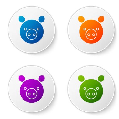 Beyaz arkaplanda izole edilmiş renkli domuz burcu simgesi. Astrolojik yıldız falı koleksiyonu. Simgeleri daire düğmelerine ayır. Vektör İllüstrasyonu