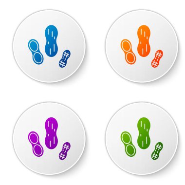 Renkli Peanut simgesi beyaz arkaplanda izole edildi. Simgeleri daire düğmelerine ayır. Vektör İllüstrasyonu