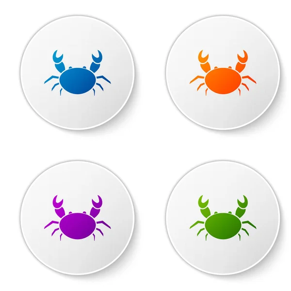 Color Crab icon isolated on white background. Set icons in circle buttons. Vector Illustration — 스톡 벡터