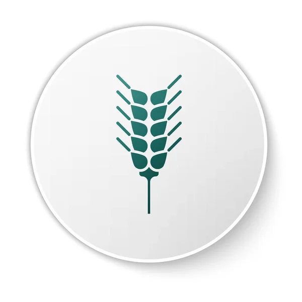 Beyaz zemin üzerinde pirinç, buğday, mısır, yulaf, çavdar ve arpa ikonu bulunan yeşil tahıllar. Buğday ekmeği sembolleri. Beyaz daire düğmesi. Vektör İllüstrasyonu — Stok Vektör