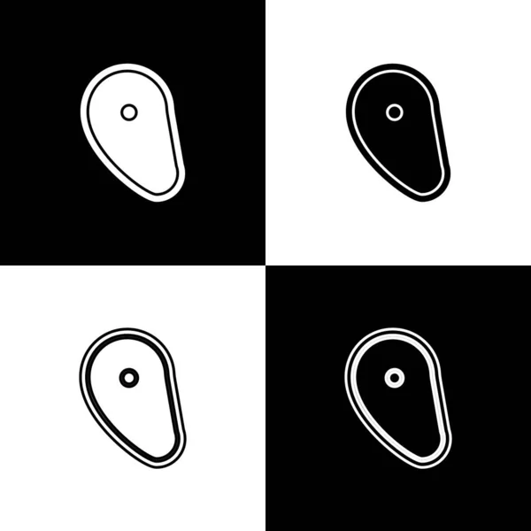 Conjunto de carne de filete icono aislado sobre fondo blanco y negro. Ilustración vectorial — Vector de stock