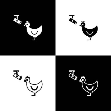 Tavuk çiftliğini ve kablosuz kontrollü güvenlik kamerası ikonunu siyah beyaz arkaplanda izole et. Vektör İllüstrasyonu